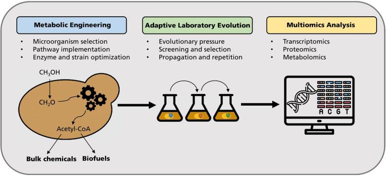 https://cdn.ncbi.nlm.nih.gov/pmc/blobs/5c78/9587593/ac3b48f1e78e/13068_2022_2210_Fig4_HTML.jpg