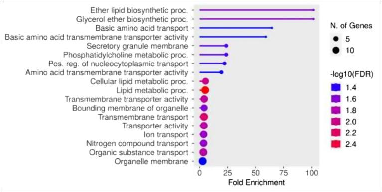 https://cdn.ncbi.nlm.nih.gov/pmc/blobs/5c79/11813914/773807aca093/fmicb-16-1492742-g006.jpg