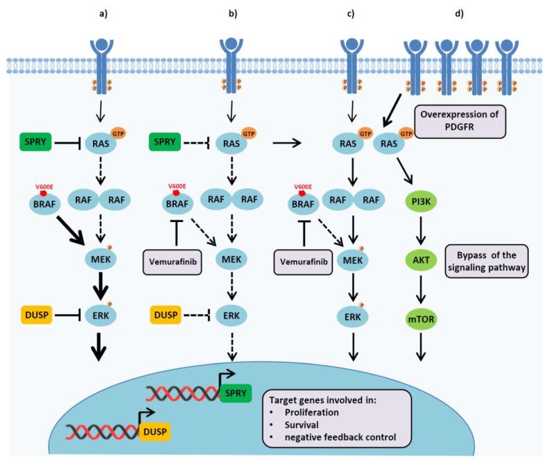 https://cdn.ncbi.nlm.nih.gov/pmc/blobs/5c7a/7761971/261ab37d1509/cells-09-02601-g002.jpg