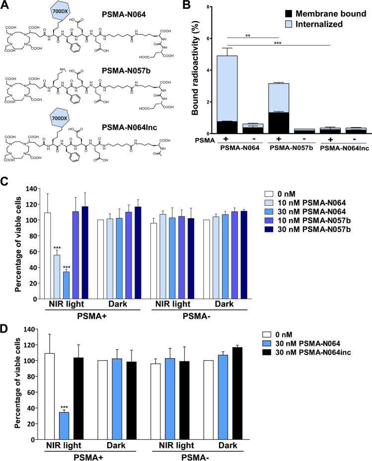 https://cdn.ncbi.nlm.nih.gov/pmc/blobs/5c7c/10317872/c8ef570da5d3/259_2023_6224_Fig2_HTML.jpg