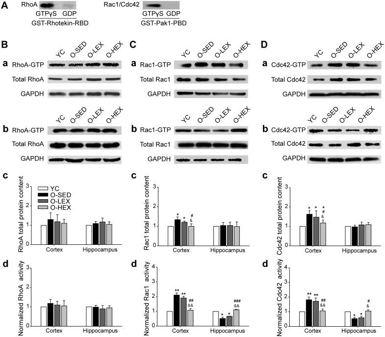 https://cdn.ncbi.nlm.nih.gov/pmc/blobs/5c7d/5289643/e20fa36d2a4e/pone.0171491.g002.jpg