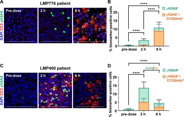 https://cdn.ncbi.nlm.nih.gov/pmc/blobs/5c7e/5908309/3f6121cc7e10/oncotarget-09-17104-g007.jpg