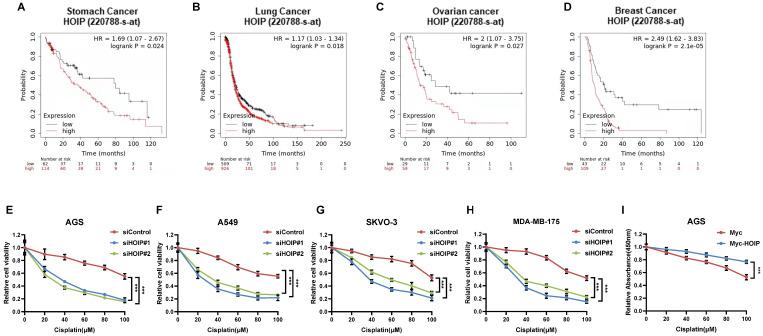 https://cdn.ncbi.nlm.nih.gov/pmc/blobs/5c80/8489130/215063c85be4/jcav12p6553g001.jpg