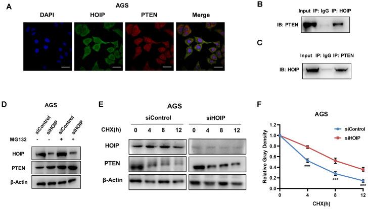 https://cdn.ncbi.nlm.nih.gov/pmc/blobs/5c80/8489130/3ae02dd3359d/jcav12p6553g006.jpg