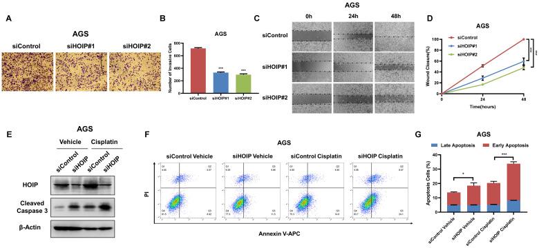 https://cdn.ncbi.nlm.nih.gov/pmc/blobs/5c80/8489130/b1bdff9b479f/jcav12p6553g004.jpg