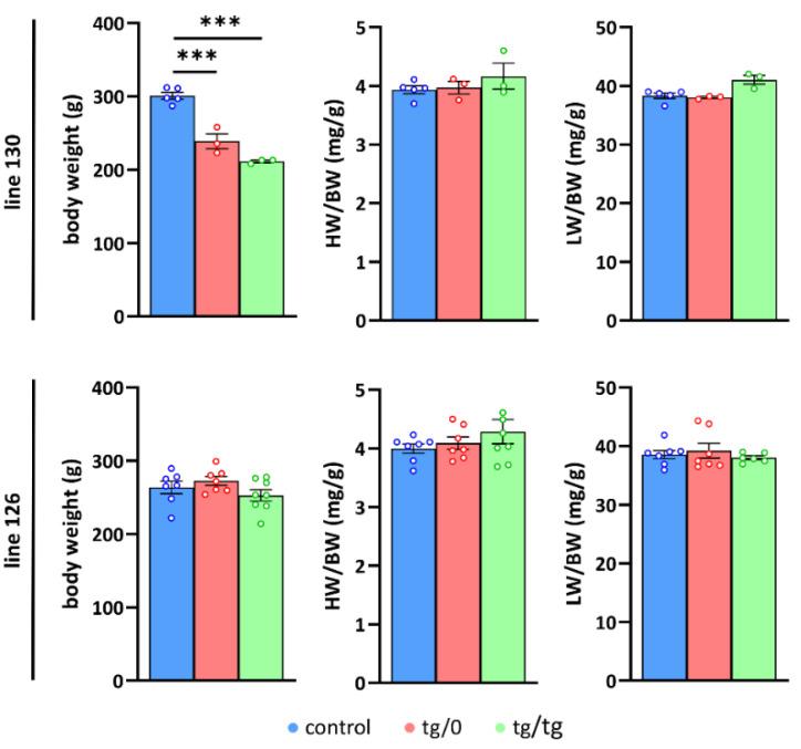 https://cdn.ncbi.nlm.nih.gov/pmc/blobs/5c83/8869460/25eb813be98a/biomedicines-10-00276-g003.jpg