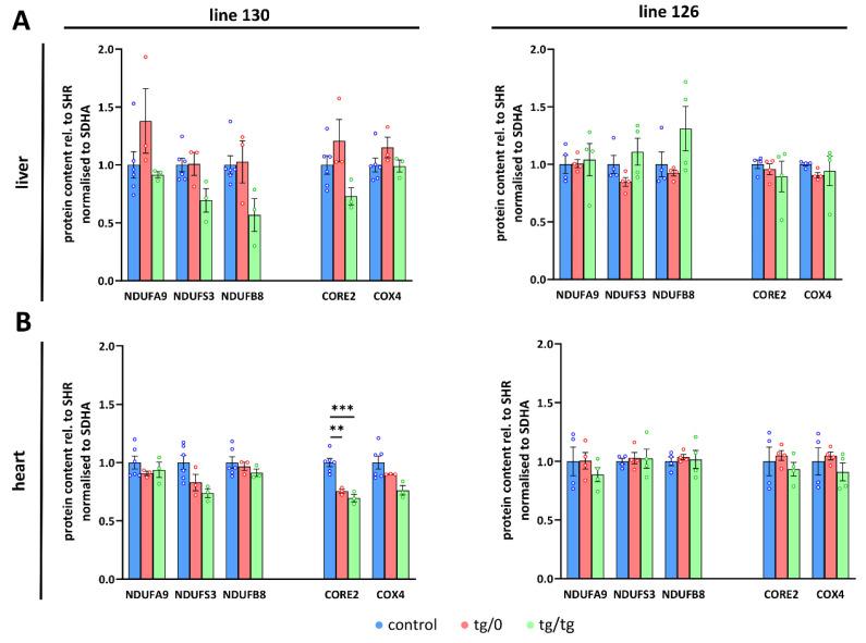 https://cdn.ncbi.nlm.nih.gov/pmc/blobs/5c83/8869460/c3a0ef4141b8/biomedicines-10-00276-g005.jpg