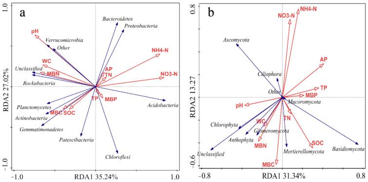https://cdn.ncbi.nlm.nih.gov/pmc/blobs/5c85/10672910/f7a4ba0ced52/microorganisms-11-02621-g006.jpg