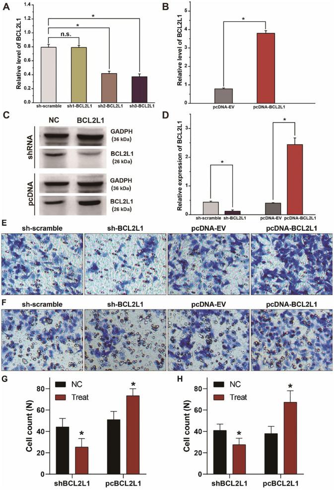 https://cdn.ncbi.nlm.nih.gov/pmc/blobs/5c85/6716507/e203938b1b18/fonc-09-00808-g0004.jpg