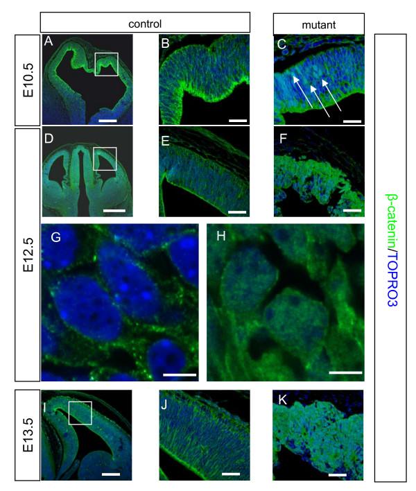 https://cdn.ncbi.nlm.nih.gov/pmc/blobs/5c87/2649069/0b19d9fe427a/1749-8104-4-3-7.jpg