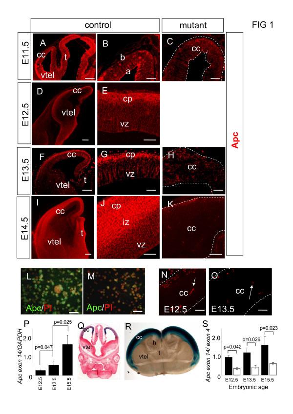 https://cdn.ncbi.nlm.nih.gov/pmc/blobs/5c87/2649069/bd3602e9bfb4/1749-8104-4-3-1.jpg