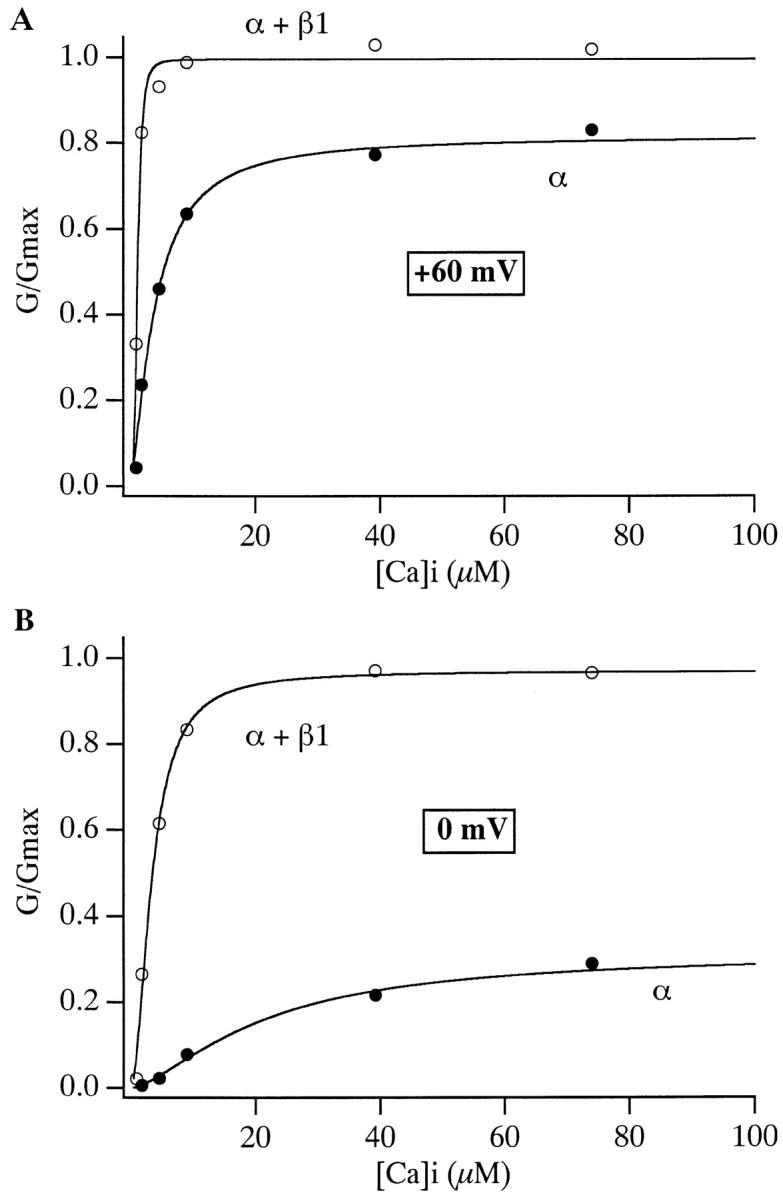 https://cdn.ncbi.nlm.nih.gov/pmc/blobs/5c88/2233685/114591d5d35c/JGP8194.f2.jpg