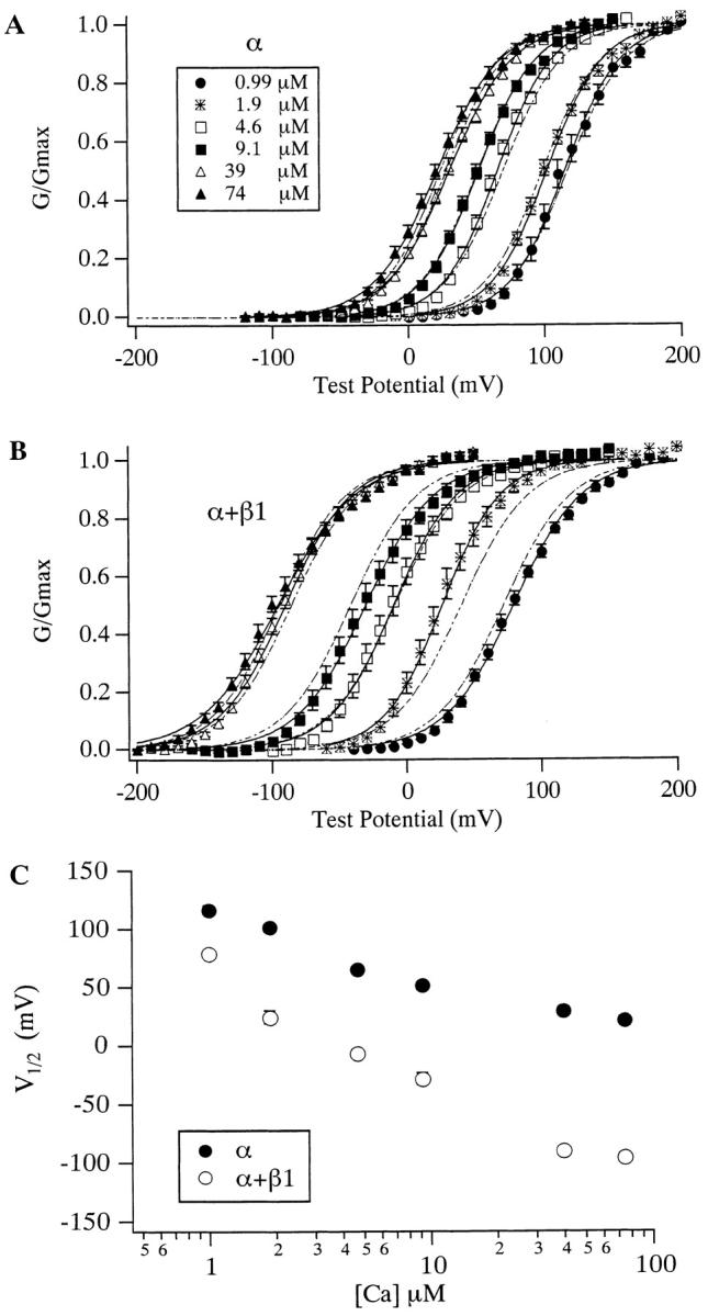 https://cdn.ncbi.nlm.nih.gov/pmc/blobs/5c88/2233685/1be787cc42de/JGP8194.f1.jpg