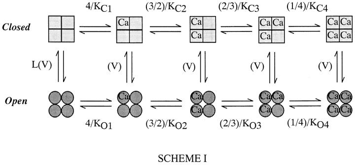 https://cdn.ncbi.nlm.nih.gov/pmc/blobs/5c88/2233685/3b01514e722f/JGP8194.f3.jpg