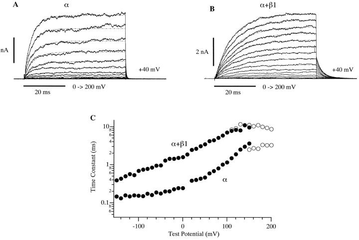 https://cdn.ncbi.nlm.nih.gov/pmc/blobs/5c88/2233685/f4b24d172481/JGP8194.f6.jpg
