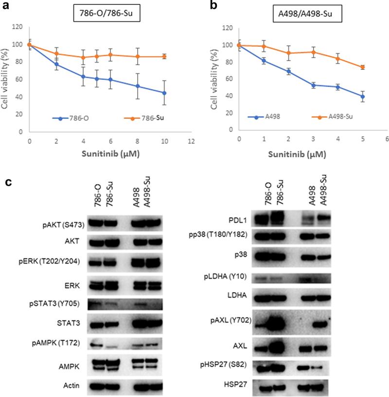 https://cdn.ncbi.nlm.nih.gov/pmc/blobs/5c8b/11005810/285cc04a41ca/KCCY_A_2306760_F0001_OC.jpg