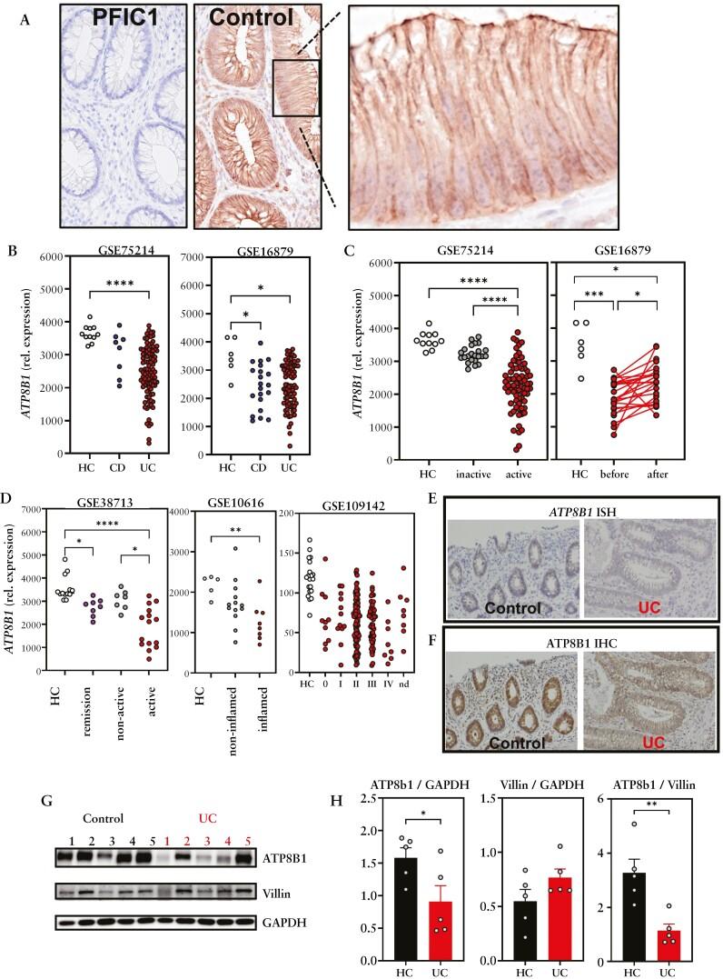 https://cdn.ncbi.nlm.nih.gov/pmc/blobs/5c8c/11302967/13b50948bf92/jjae024_fig1.jpg