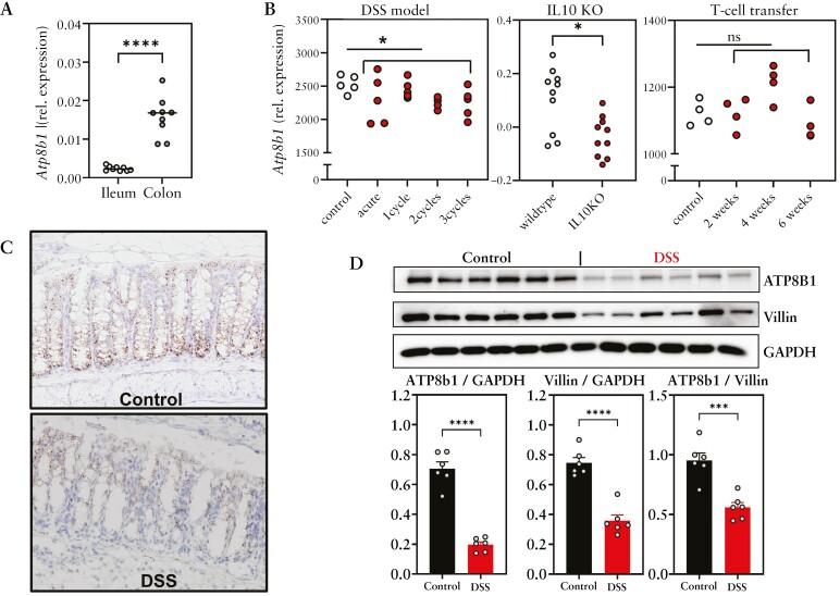 https://cdn.ncbi.nlm.nih.gov/pmc/blobs/5c8c/11302967/1446d979d480/jjae024_fig2.jpg