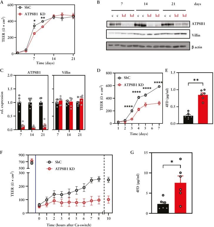 https://cdn.ncbi.nlm.nih.gov/pmc/blobs/5c8c/11302967/76f98682a865/jjae024_fig5.jpg