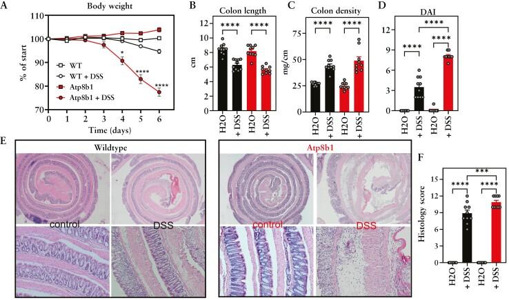 https://cdn.ncbi.nlm.nih.gov/pmc/blobs/5c8c/11302967/e98941155f04/jjae024_fig3.jpg
