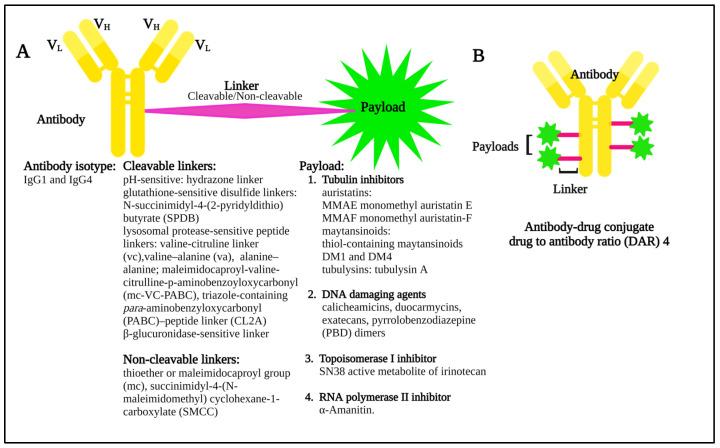https://cdn.ncbi.nlm.nih.gov/pmc/blobs/5c8e/10145905/6814196b4ebb/pharmaceuticals-16-00590-g002.jpg