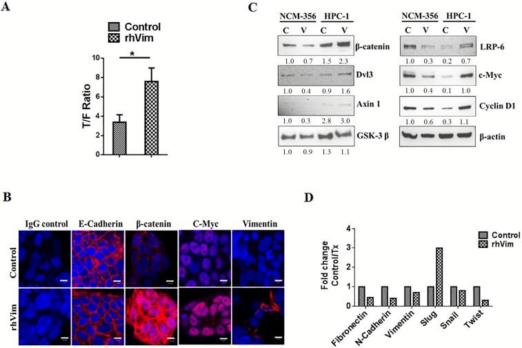 https://cdn.ncbi.nlm.nih.gov/pmc/blobs/5c8f/5039366/99b374f3e8c4/jcav07p1824g003.jpg