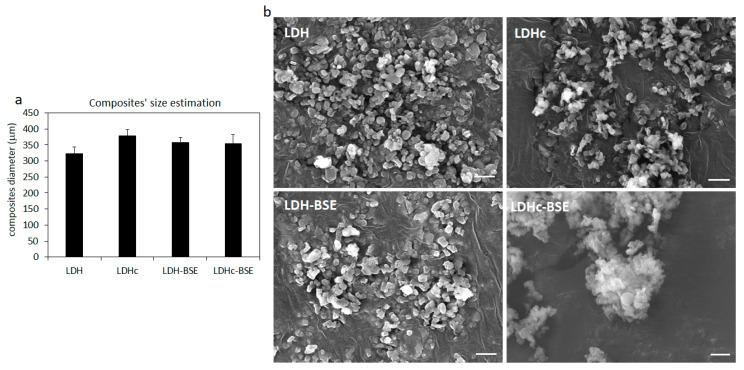 https://cdn.ncbi.nlm.nih.gov/pmc/blobs/5c90/10537998/88499400713e/molecules-28-06449-g007.jpg