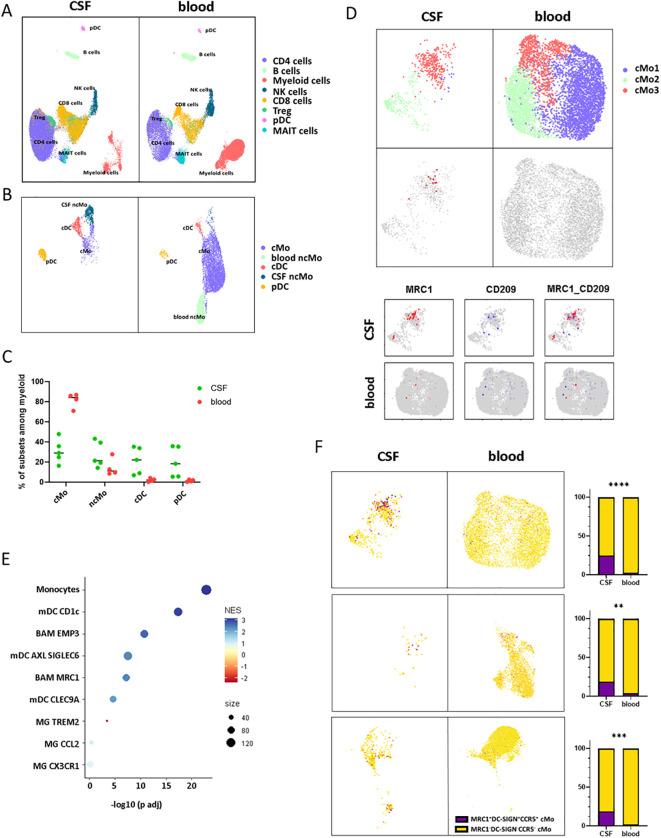 https://cdn.ncbi.nlm.nih.gov/pmc/blobs/5c91/11751469/649fc3d114f8/fimmu-15-1494842-g004.jpg
