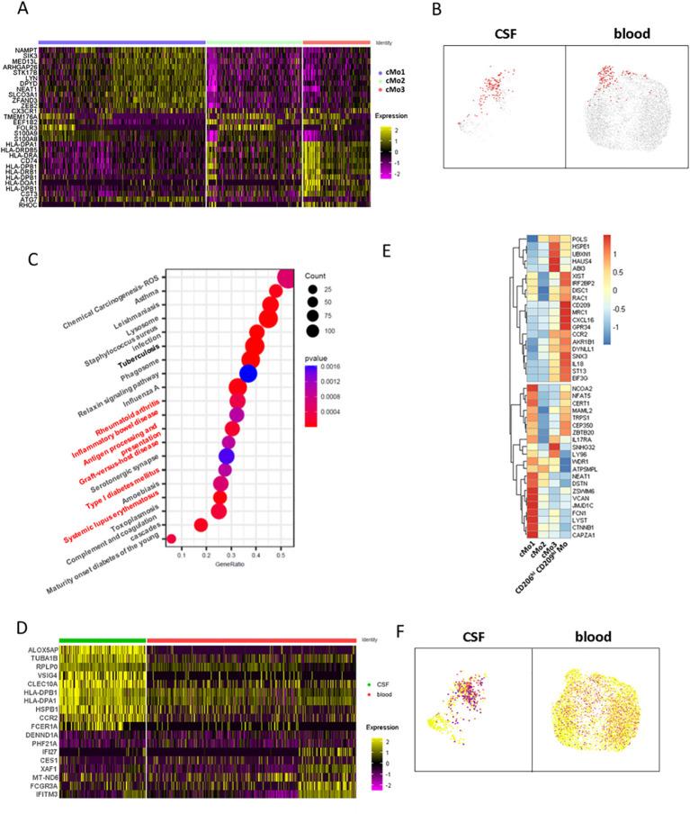 https://cdn.ncbi.nlm.nih.gov/pmc/blobs/5c91/11751469/6b58b810649f/fimmu-15-1494842-g005.jpg