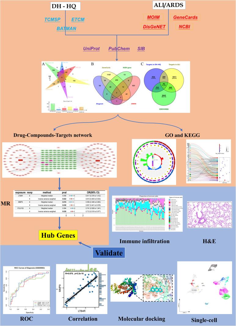 https://cdn.ncbi.nlm.nih.gov/pmc/blobs/5c93/12284239/123f0ba569c2/JIR-18-9413-g0001.jpg