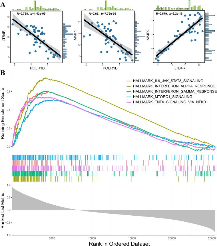https://cdn.ncbi.nlm.nih.gov/pmc/blobs/5c93/12284239/1d661ca77312/JIR-18-9413-g0012.jpg
