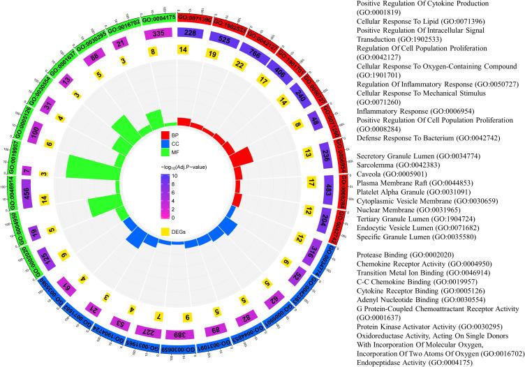 https://cdn.ncbi.nlm.nih.gov/pmc/blobs/5c93/12284239/a3f54b8b1591/JIR-18-9413-g0004.jpg