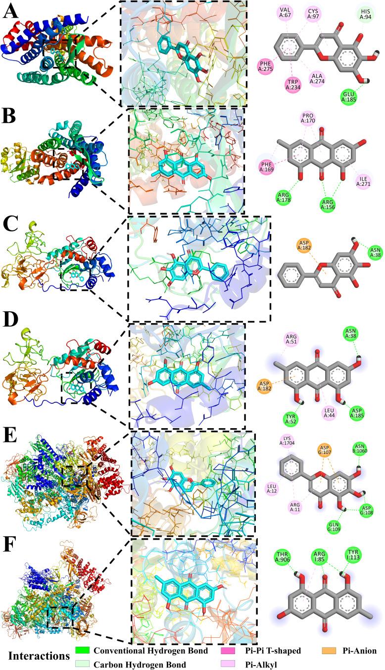 https://cdn.ncbi.nlm.nih.gov/pmc/blobs/5c93/12284239/bee8d83914c6/JIR-18-9413-g0013.jpg