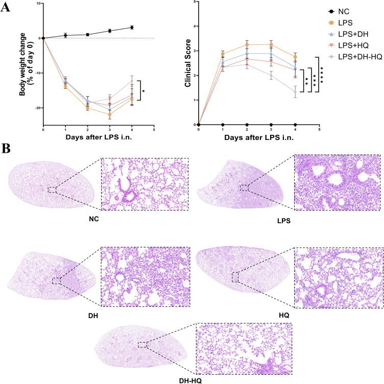 https://cdn.ncbi.nlm.nih.gov/pmc/blobs/5c93/12284239/c89785115ad4/JIR-18-9413-g0014.jpg