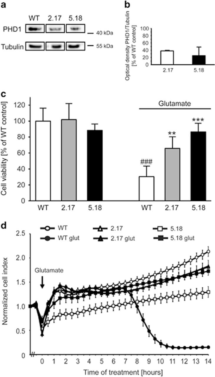 https://cdn.ncbi.nlm.nih.gov/pmc/blobs/5c94/4917646/48709c965dca/cddis2016107f1.jpg