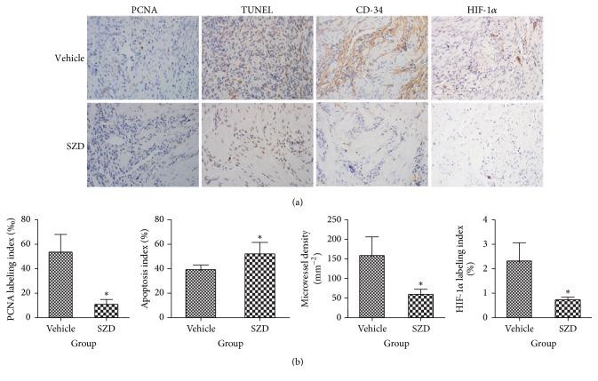 https://cdn.ncbi.nlm.nih.gov/pmc/blobs/5c95/5831592/10c40cb19036/ECAM2018-3927096.003.jpg
