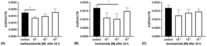 https://cdn.ncbi.nlm.nih.gov/pmc/blobs/5c98/10779206/7aed55cda595/ijms-25-00610-g003.jpg