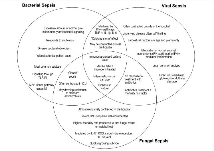 https://cdn.ncbi.nlm.nih.gov/pmc/blobs/5c98/8526068/c68ab748e480/cureus-0013-00000018393-i01.jpg