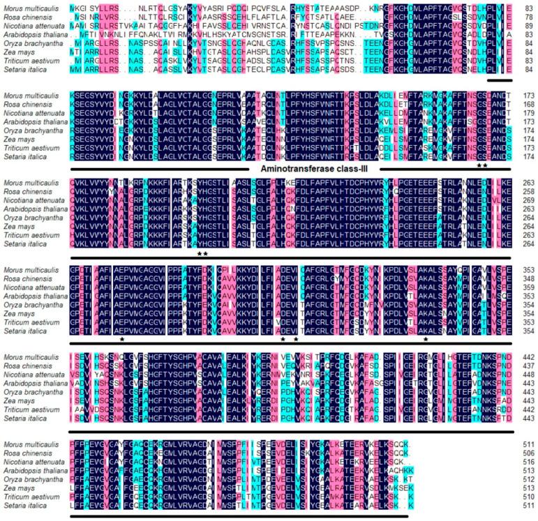 https://cdn.ncbi.nlm.nih.gov/pmc/blobs/5c9c/8954524/d8b7bab0aa17/genes-13-00501-g002.jpg