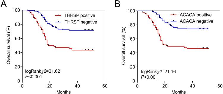 https://cdn.ncbi.nlm.nih.gov/pmc/blobs/5c9e/12326444/e74e9f6ae059/PGPM-18-179-g0002.jpg
