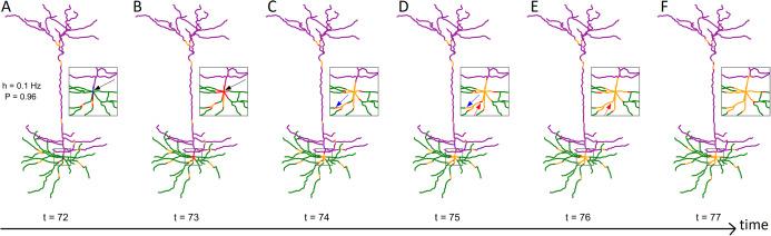 https://cdn.ncbi.nlm.nih.gov/pmc/blobs/5c9e/7694565/4554cd605326/peerj-08-10250-g001.jpg