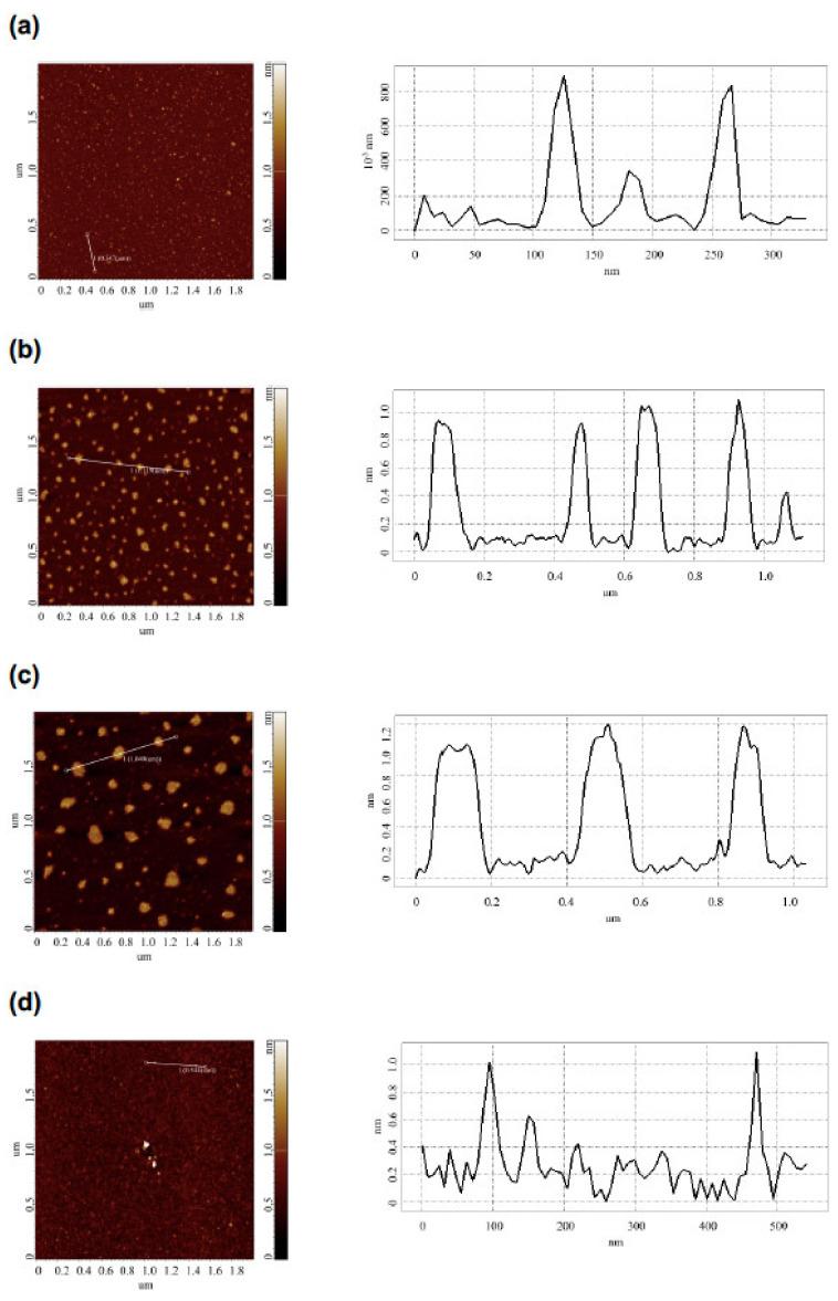 https://cdn.ncbi.nlm.nih.gov/pmc/blobs/5c9e/9590084/1726467bfd85/jfb-13-00166-g003.jpg