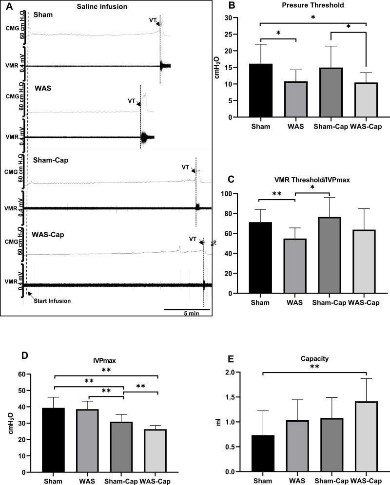 https://cdn.ncbi.nlm.nih.gov/pmc/blobs/5ca2/8882030/cb3b664a99ae/JIR-15-1209-g0002.jpg