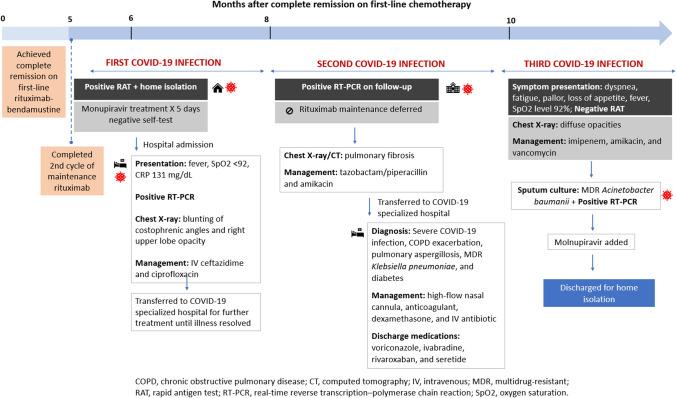 https://cdn.ncbi.nlm.nih.gov/pmc/blobs/5ca3/11150206/5cb6152394a1/10238_2024_1381_Fig1_HTML.jpg