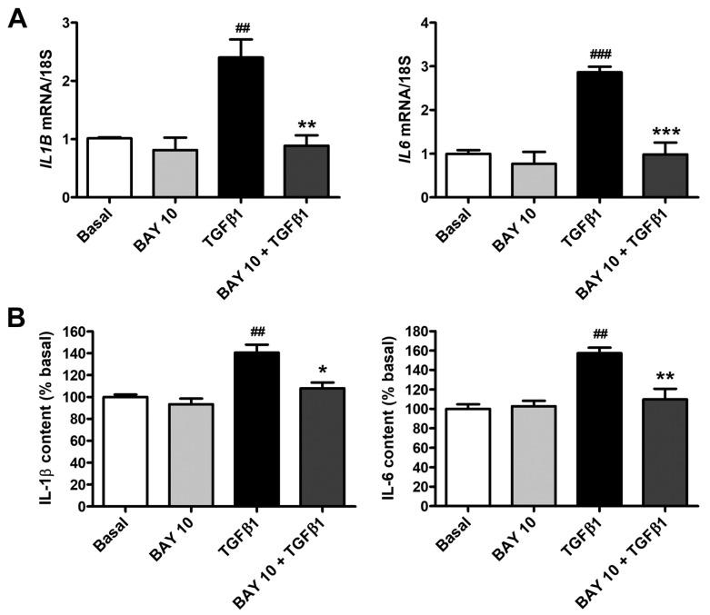 https://cdn.ncbi.nlm.nih.gov/pmc/blobs/5ca5/10887040/0177f94ed28c/cells-13-00360-g010.jpg