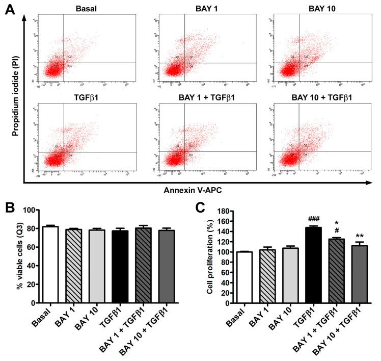 https://cdn.ncbi.nlm.nih.gov/pmc/blobs/5ca5/10887040/d24376e29904/cells-13-00360-g001.jpg