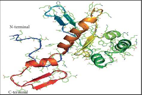 https://cdn.ncbi.nlm.nih.gov/pmc/blobs/5ca5/7102452/5281da556c32/CMMM2020-8196147.003.jpg