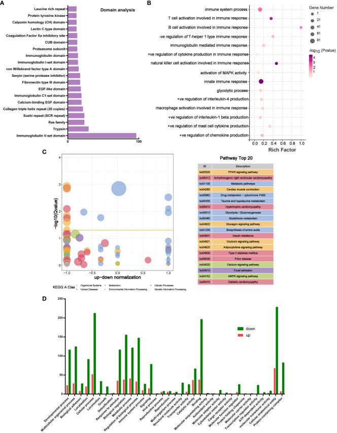 https://cdn.ncbi.nlm.nih.gov/pmc/blobs/5ca6/11260627/f9792786bcb5/fimmu-15-1429442-g008.jpg