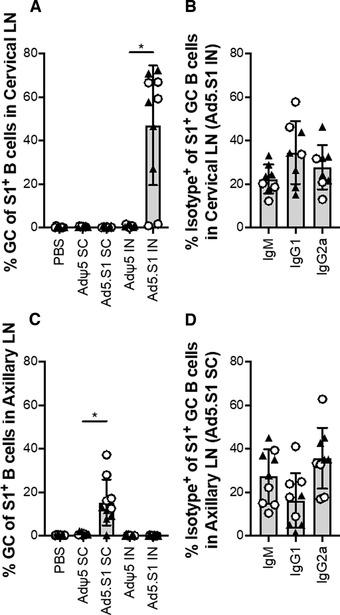 https://cdn.ncbi.nlm.nih.gov/pmc/blobs/5ca9/8250272/d6a63ceee594/EJI-51-1774-g002.jpg