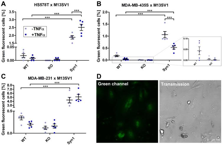 https://cdn.ncbi.nlm.nih.gov/pmc/blobs/5cad/11172233/dea4a7b96285/ijms-25-05668-g007.jpg